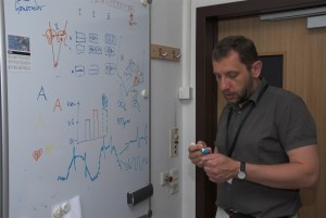 Danko-Nikolic-brain-theory