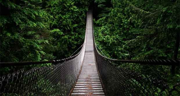 Ptica Dodo – od doktrine do presude…