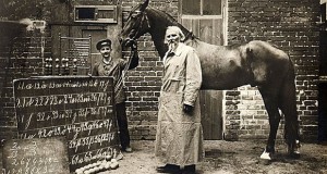 Pametni Hans – konj matematičar Pametni Hans – konj matematičar